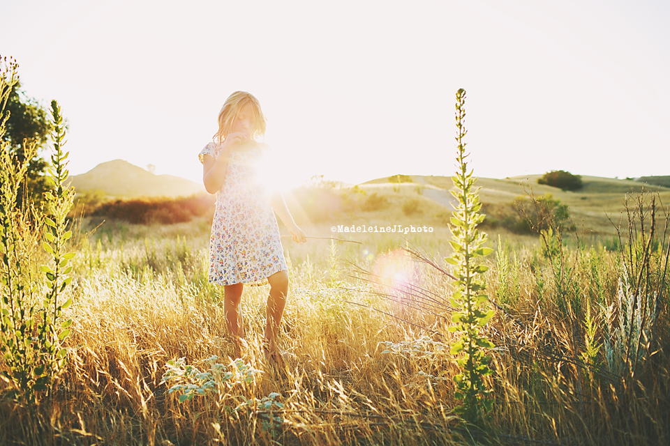 orange county family photographer